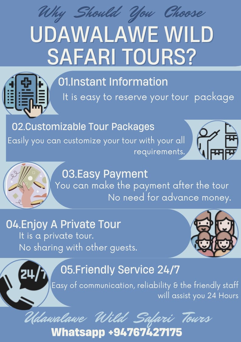 Sri Lanka Safari Tours, jeep safari udawalawe, Udawalawe National Park Safari